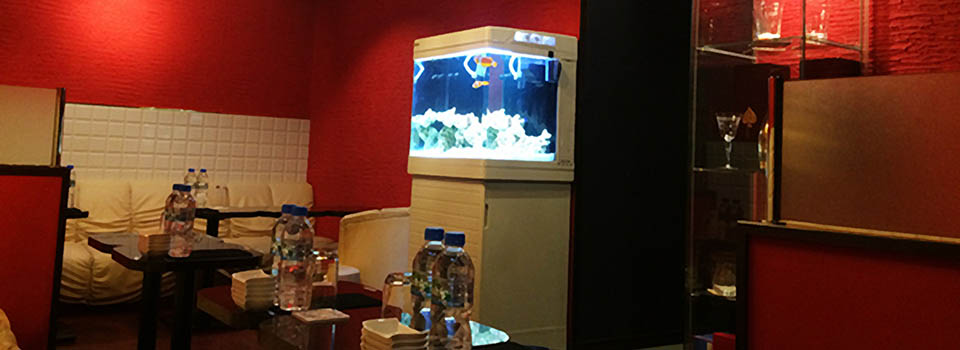 エグゼブティブコレクション